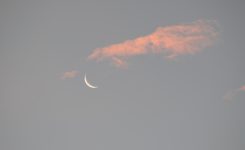 Hay alguien que ve algo en ti.